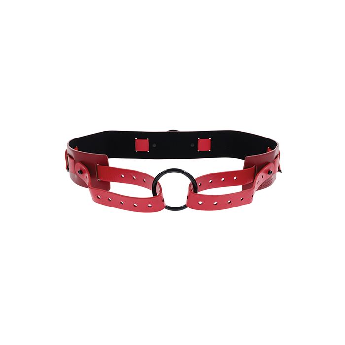 Ex's & Oh's Bound & Belted