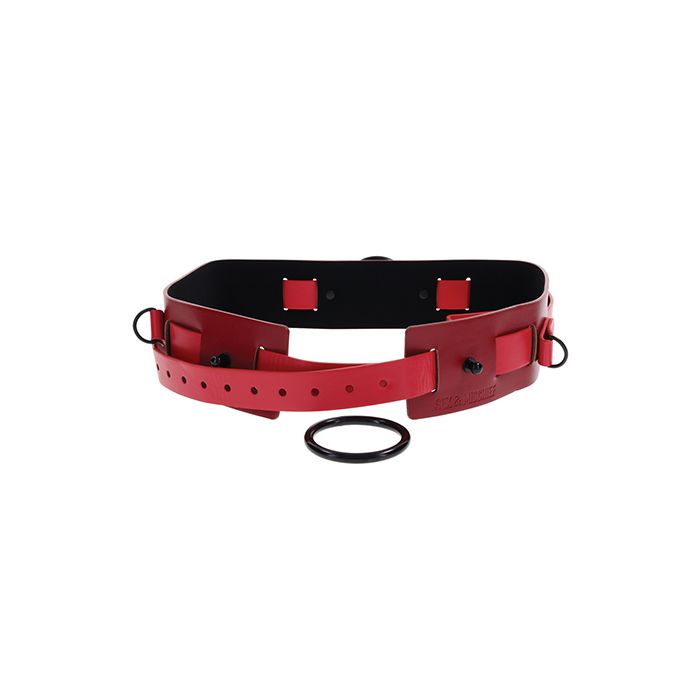Ex's & Oh's Bound & Belted