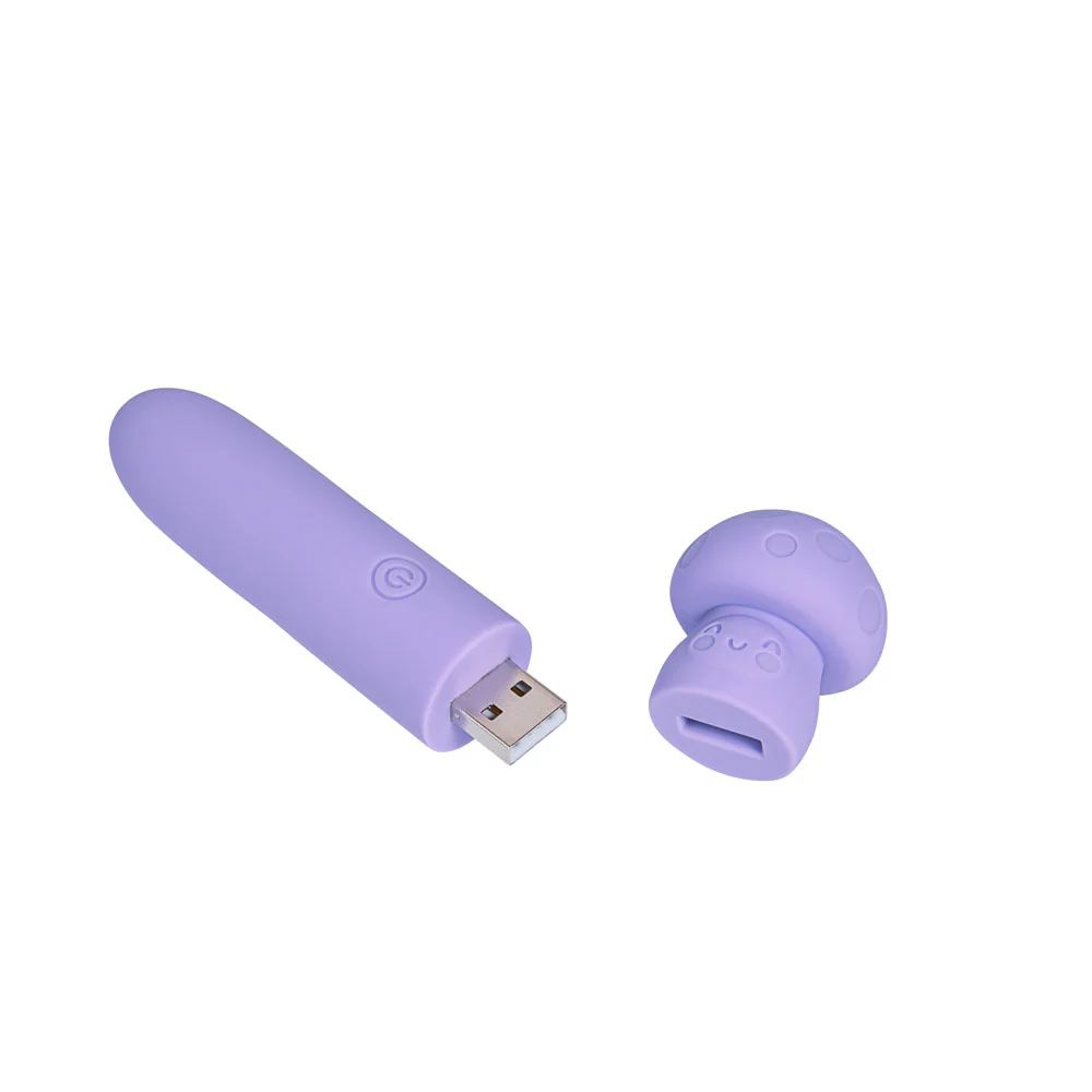 Rechargeable Mini Vibe