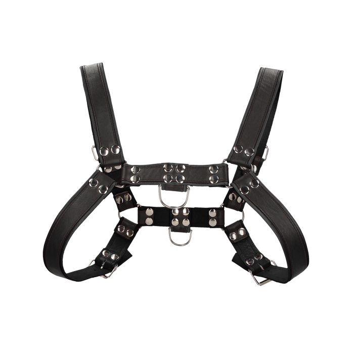 Uomo Chest Bulldog Harness